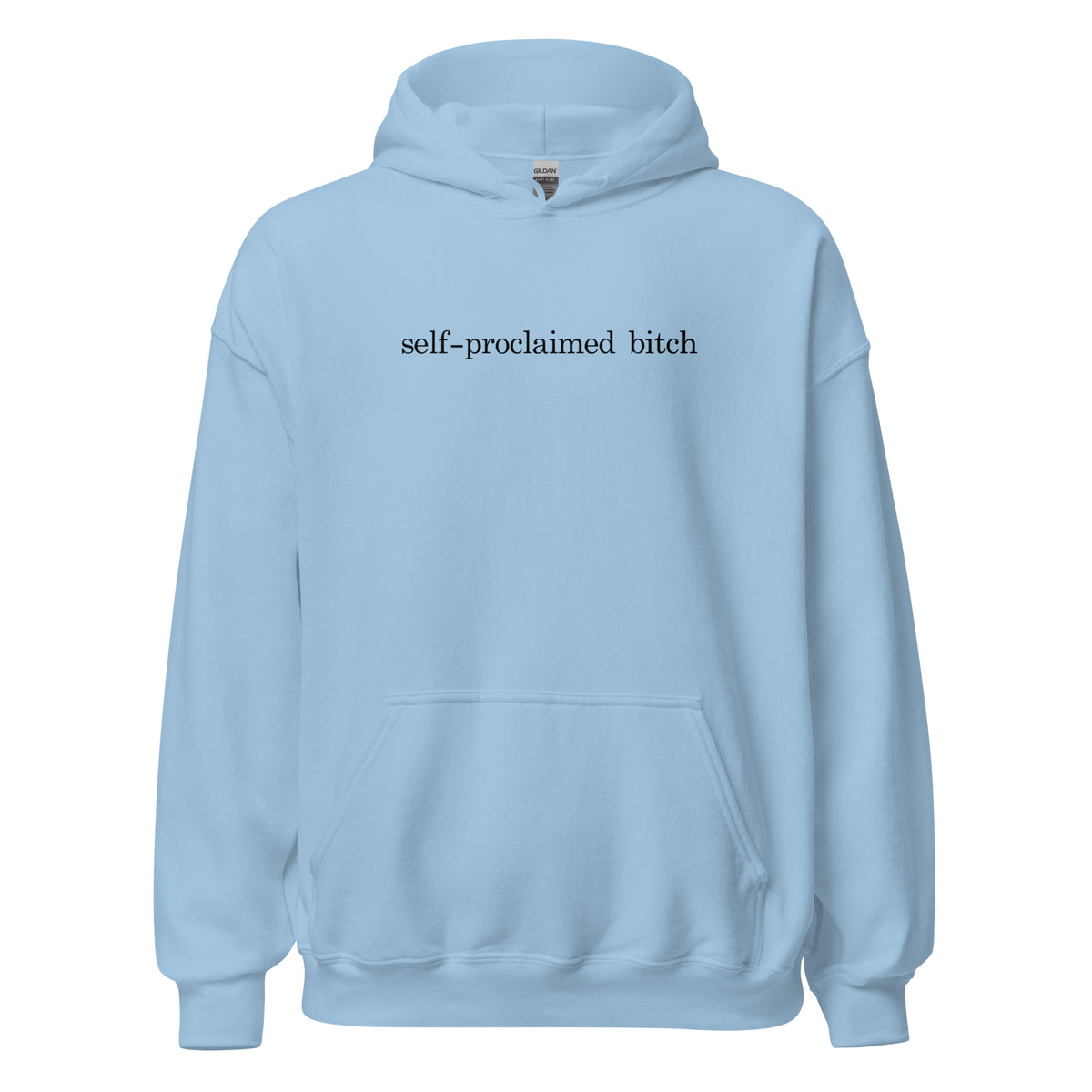 The Self Aware Bitch Hoodie