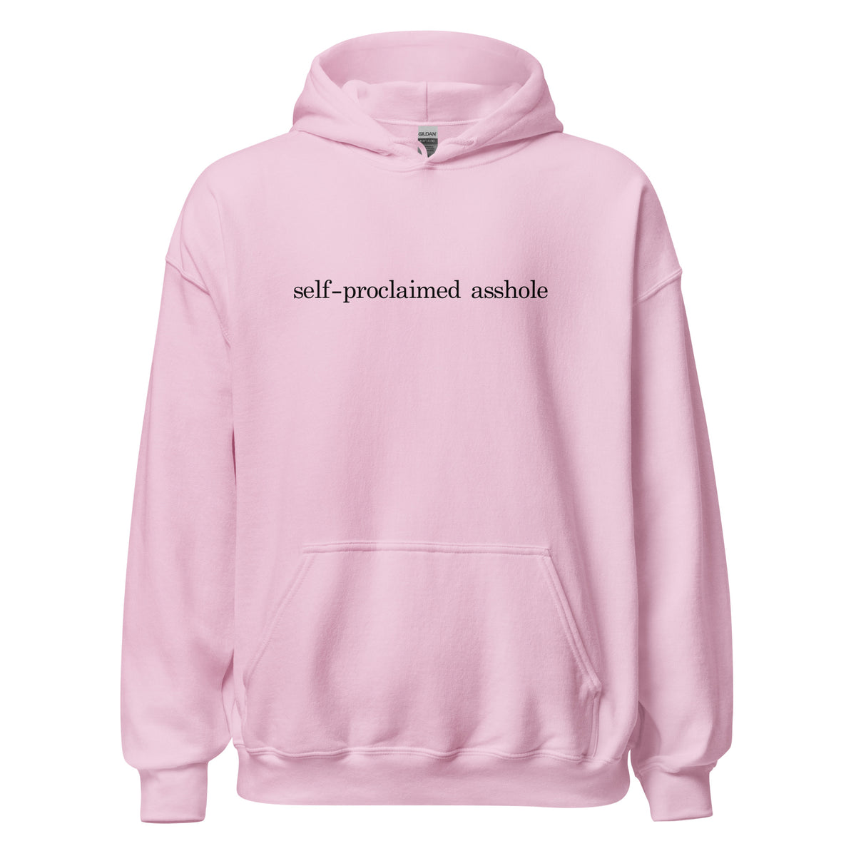 The Self Aware Asshole Hoodie