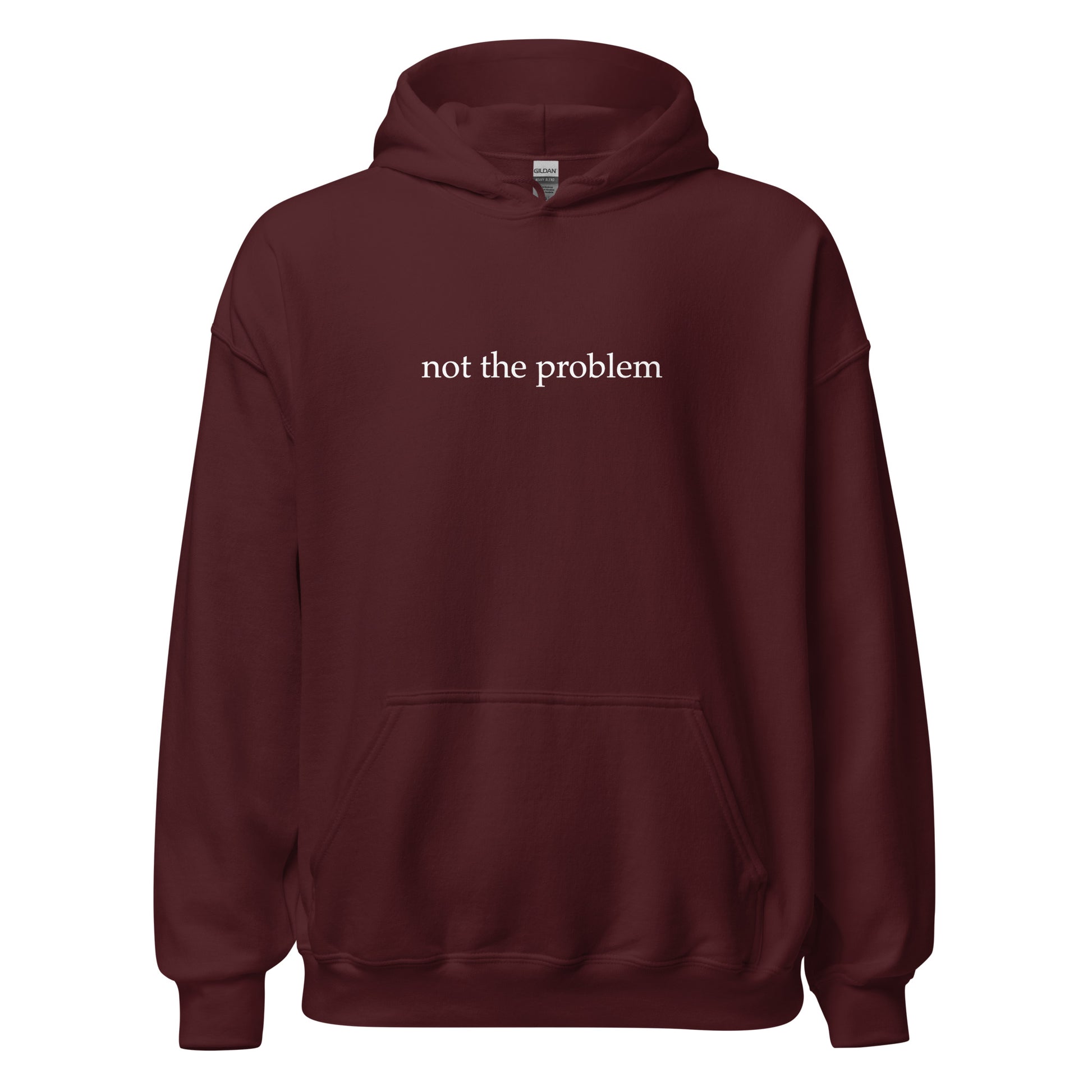 "Not the Problem" - Premium Hoodie Black